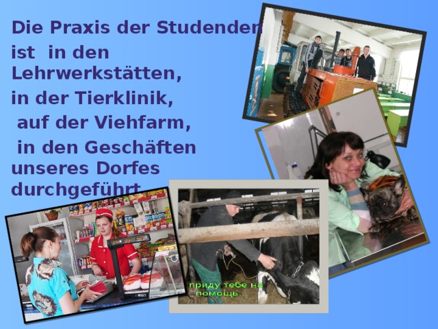 Die Praxis der Studenden ist in den Lehrwerkstätten, in der Tierklinik,  auf der Viehfarm,  in den Geschäften unseres Dorfes durchgeführt  