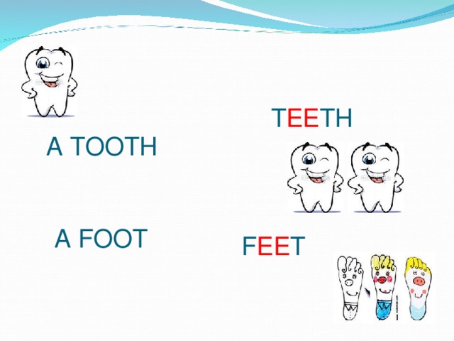 T EE TH A TOOTH A FOOT F EE T 