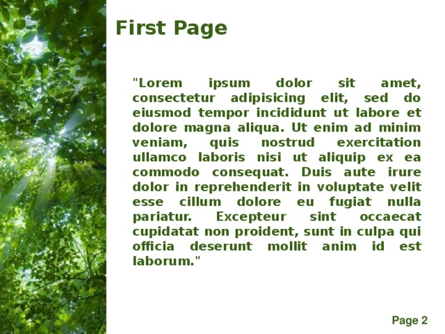 First Page 
