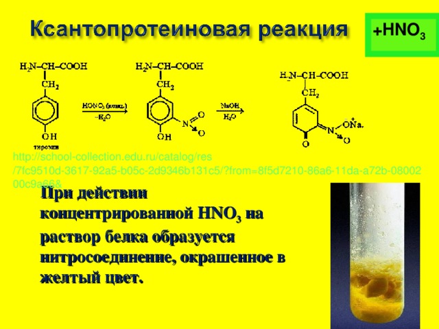 +HNO 3 http :// school-collection.edu.ru / catalog / res /7fc9510d-3617-92a5-b05c-2d9346b131c5/?from=8f5d7210-86a6-11da-a72b-0800200c9a66&  При действии концентрированной НNО 3 на раствор белка образуется нитросоединение, окрашенное в желтый цвет.