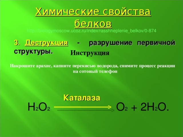 Химические свойства белков http :// biologymoscow.ucoz.ru / index / rasshheplenie_belkov /0-874 3. Деструкция -  разрушение первичной структуры. Инструкция Накрошите арахис, капните перекисью водорода, снимите процесс реакции на сотовый телефон Каталаза Н 2 О 2  О 2 + 2Н 2 О.