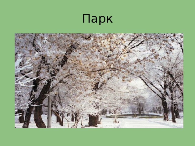 Парк 