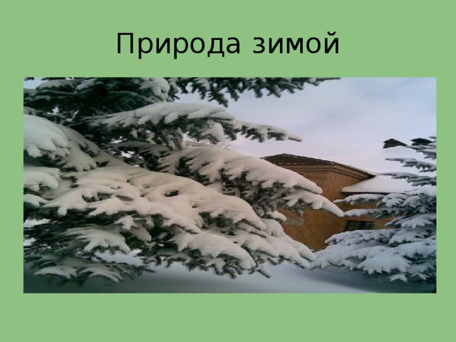 Природа зимой 