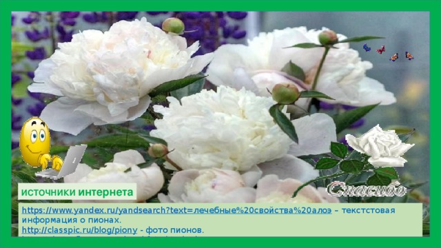 ИСТОЧНИКИ интернета https://www.yandex.ru/yandsearch?text= лечебные%20свойства%20алоэ – текстстовая информация о пионах. http :// classpic.ru/blog/piony  - фото пионов. http:// photosflowery.ru/pionyi-foto.html  - фото пионов. 