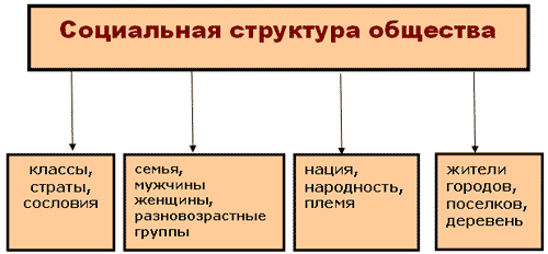 Социальная структура общества 8 класс схема