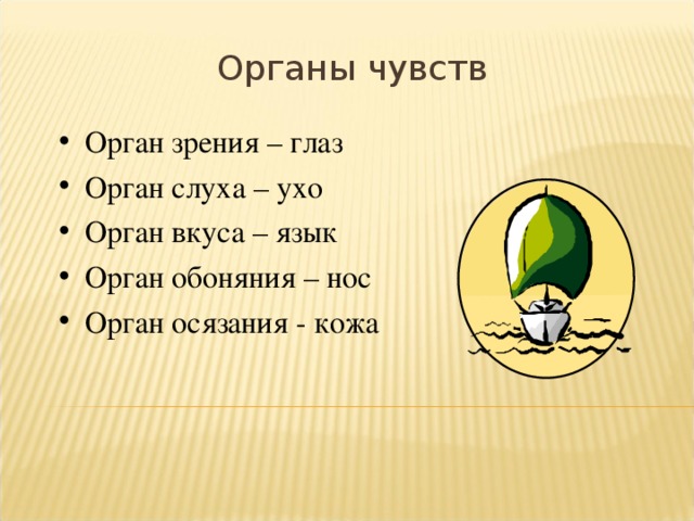 Презентация "Анализаторы" - Биология - Презентации