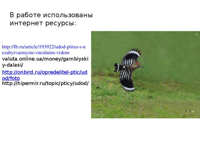 В работе использованы интернет ресурсы: :   http://fb.ru/article/193922/udod-ptitsa-s-nezabyivaemyim-vneshnim-vidom valuta.online.ua/money/gambiyskiy-dalasi/ http://onbird.ru/opredelitel-ptic/udod/foto http://hipermir.ru/topic/pticy/udod/ 
