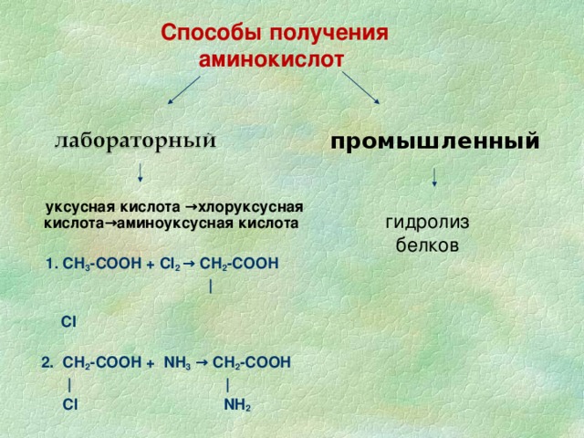 Хлоруксусная кислота