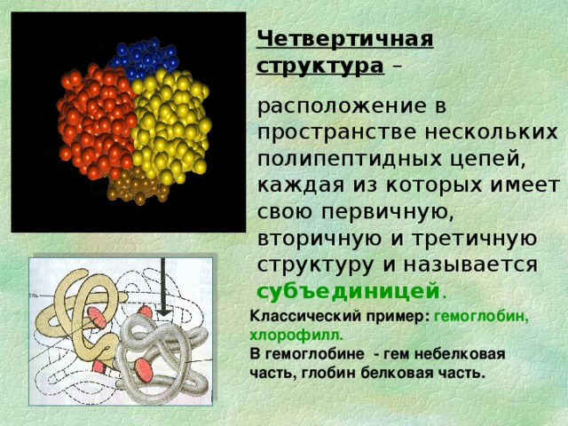 Презентация на тему белки по химии