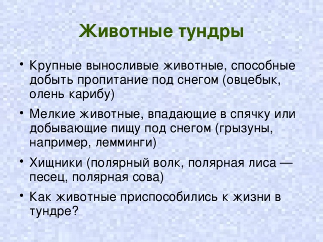 Как приспособились животные к жизни тундры. Как приспособились животные в тундре. Как прспособилисьживотные к жизни в тундре. Животные приспособились к жизни в тундре. Как животные тундры приспосабливаются к условиям жизни.