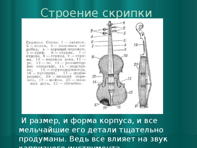 Строение скрипки    И размер, и форма корпуса, и все мельчайшие его детали тщательно продуманы. Ведь все влияет на звук капризного инструмента.  