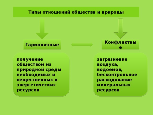 Типы отношений в природе