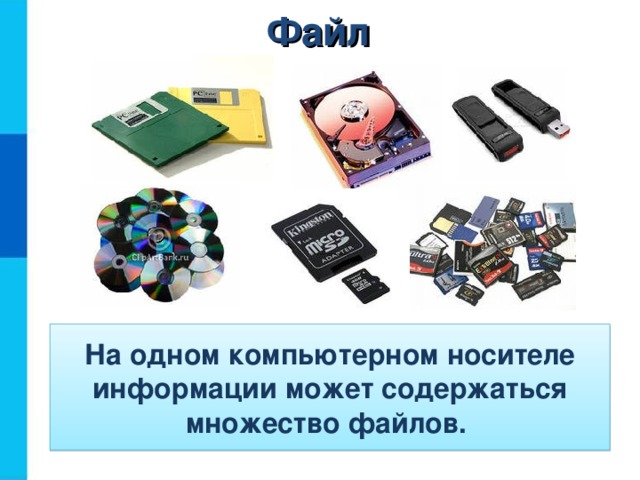 Файл На одном компьютерном носителе информации может содержаться множество файлов. 