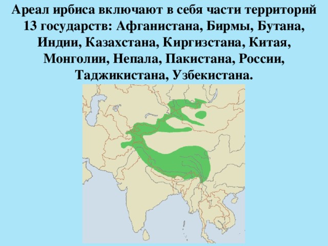 Ареал занимаемый видом в природе это критерий