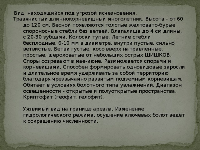  Вид, находящийся под угрозой исчезновения. Травянистый длиннокорневищный многолетник. Высота - от 60 до 120 см. Весной появляются толстые желтовато-бурые спороносные стебли без ветвей. Влагалища до 4 см длины, с 20-30 зубцами. Колоски тупые. Летние стебли бесплодные, 6-10 мм в диаметре, внутри пустые, сильно ветвистые. Ветви густые, косо вверх направленные, простые, шероховатые от небольших острых ШИШКОВ.  Споры созревают в мае-июне. Размножается спорами и корневищами. Способен формировать одновидовые заросли и длительное время удерживать за собой территорию благодаря чрезвычайно развитым подземным корневищам. Обитает в условиях болотного типа увлажнений. Диапазон освещенности - открытые и полуоткрытые пространства. Криптофит (геофит, гелофит).   Уязвимый вид на границе ареала. Изменение гидрологического режима, осушение ключевых болот ведёт к сокращению численности.   