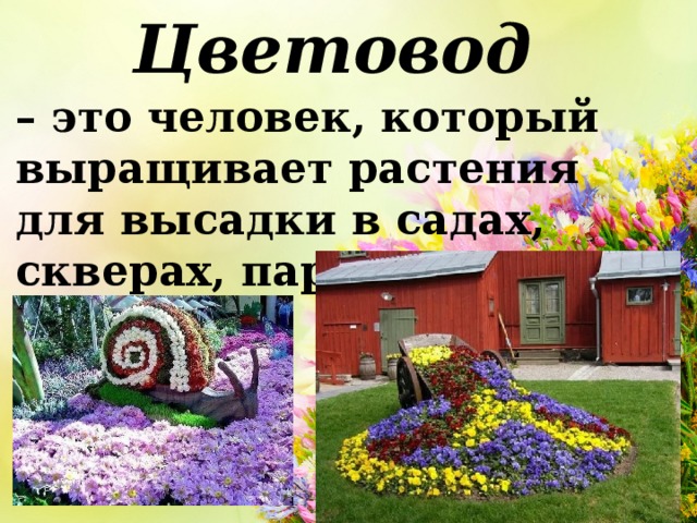 Цветовод –  это человек, который выращивает растения   для высадки в садах, скверах, парках. 