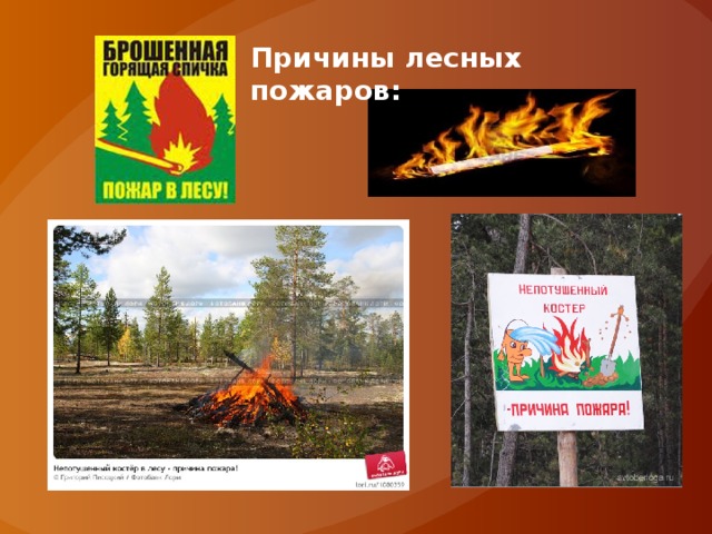 Причины лесных пожаров: 