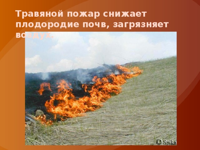 Травяной пожар снижает плодородие почв, загрязняет воздух. 