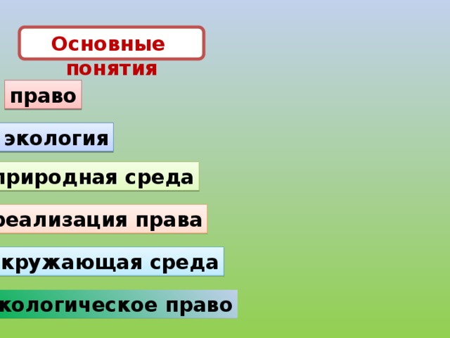 Основные понятия право экология природная среда реализация права окружающая среда экологическое право 