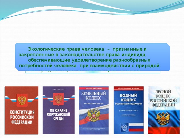 Экологические права человека – признанные и закрепленные в законодательстве права индивида, обеспечивающие удовлетворение разнообразных потребностей человека при взаимодействии с природой. экологические права относятся к категории неотчуждаемых, естественных прав человека 