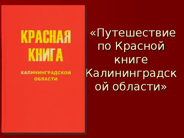  «Путешествие по Красной книге Калининградской области» 