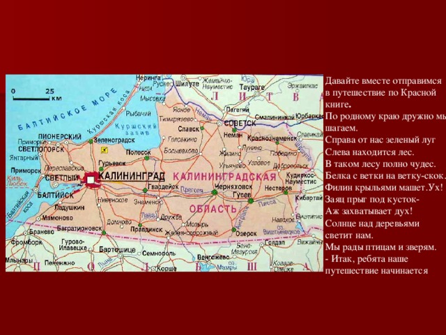 Давайте вместе отправимся в путешествие по Красной книге . По родному краю дружно мы шагаем. Справа от нас зеленый луг Слева находится лес. В таком лесу полно чудес. Белка с ветки на ветку-скок. Филин крыльями машет.Ух! Заяц прыг под кусток- Аж захватывает дух! Солнце над деревьями светит нам. Мы рады птицам и зверям. - Итак, ребята наше путешествие начинается 