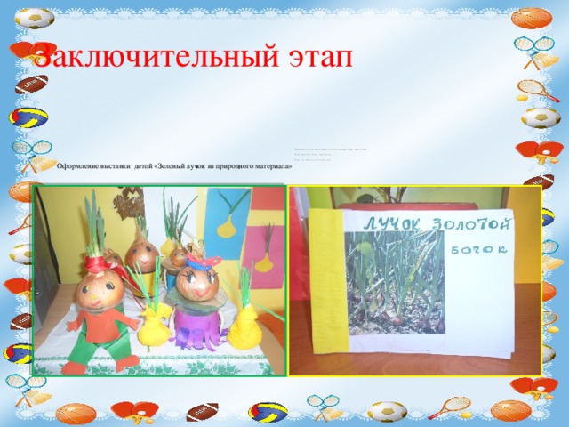 Экологический проект "Лук - зеленый друг" - дошкольное образование, прочее