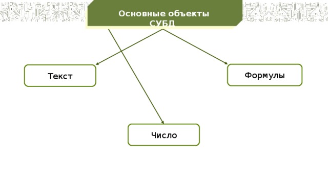 Основные объекты СУБД Формулы Текст Число 