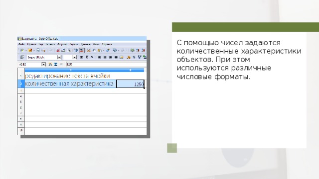 С помощью чисел задаются количественные характеристики объектов. При этом используются различные числовые форматы. 