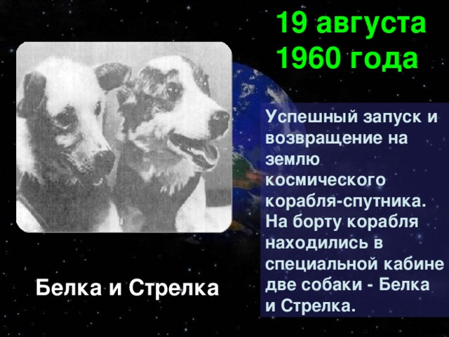 19 августа 1960 года Успешный запуск и возвращение на землю космического корабля-спутника. На борту корабля находились в специальной кабине две собаки - Белка и Стрелка. Белка и Стрелка