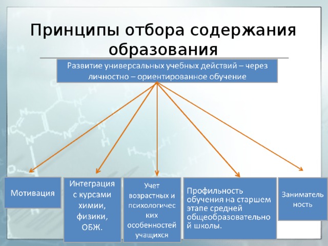 Принципы содержания образования