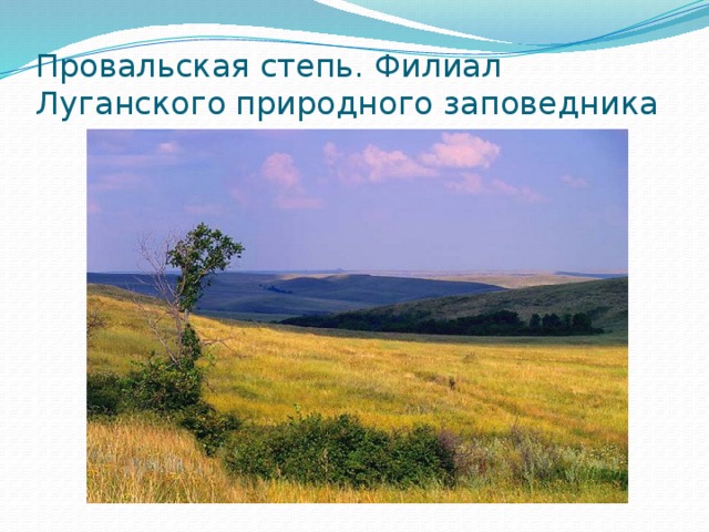 Провальская степь. Филиал Луганского природного заповедника 