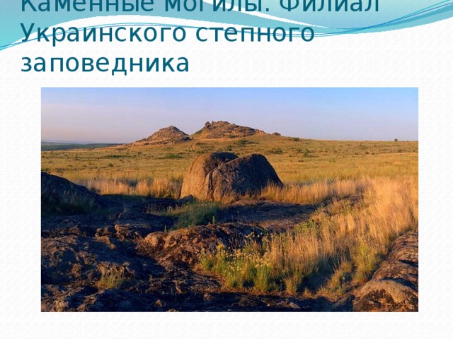 Каменные могилы. Филиал Украинского степного заповедника 