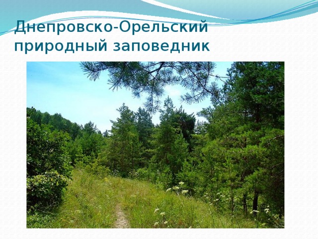 Днепровско-Орельский природный заповедник 
