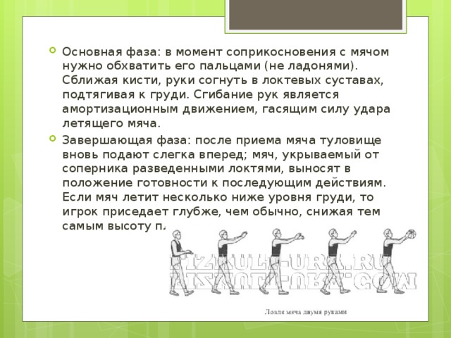 В момент касания с мячом. Фазы ловли мяча. Момент соприкосновения мяча с руками. В момент соприкосновения с мячом нужно обхватить его пальцами. В момент касания с мячом необходимо.