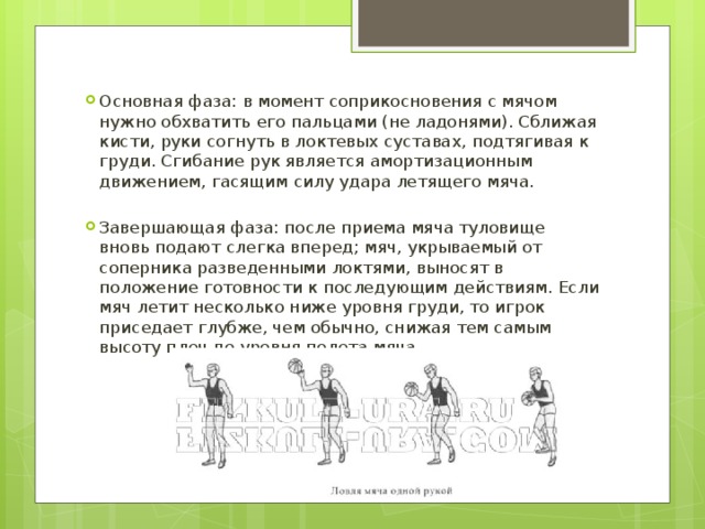 В момент касания с мячом. В момент касания с мячом необходимо. Фазы ловли мяча в баскетболе. В момент соприкосновения с мячом нужно обхватить его пальцами. Фаза во время которой игрок приседает глубже чем обычно в баскетболе.