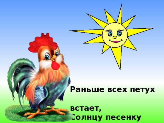 Раньше всех петух  встает, Солнцу песенку поёт .  