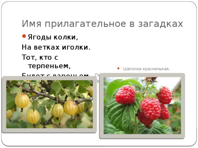 Русский язык 3 класс страница 90 проект имена прилагательные в загадках