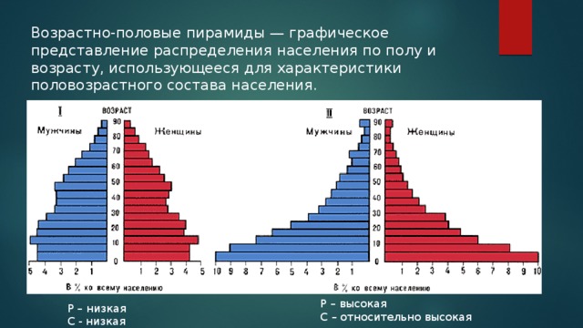 Возрастно половая пирамида