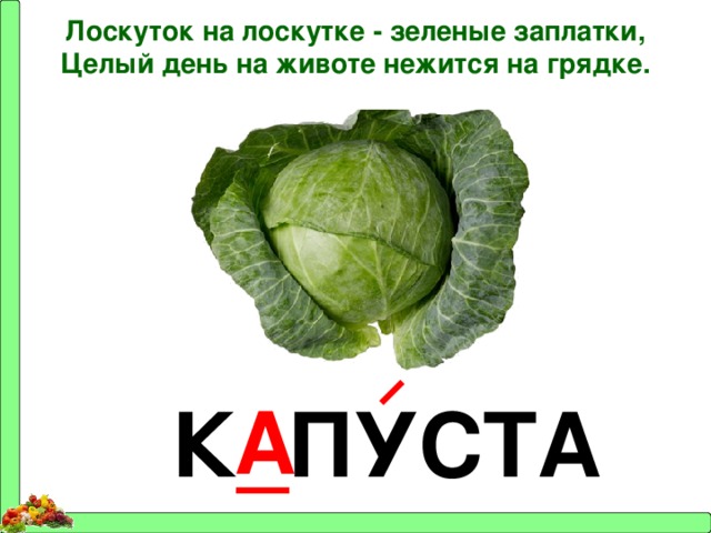 Лоскуток на лоскутке - зеленые заплатки, Целый день на животе нежится на грядке.  К _ ПУСТА А 