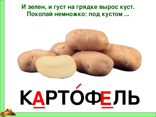И зелен, и густ на грядке вырос куст. Покопай немножко: под кустом ... К _ РТОФ _ ЛЬ А Е 