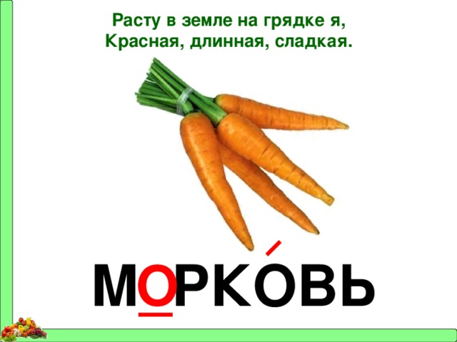 Расту в земле на грядке я, Красная, длинная, сладкая. М _ РКОВЬ О 