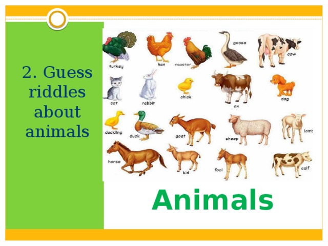 2. Guess riddles about animals Animals 
