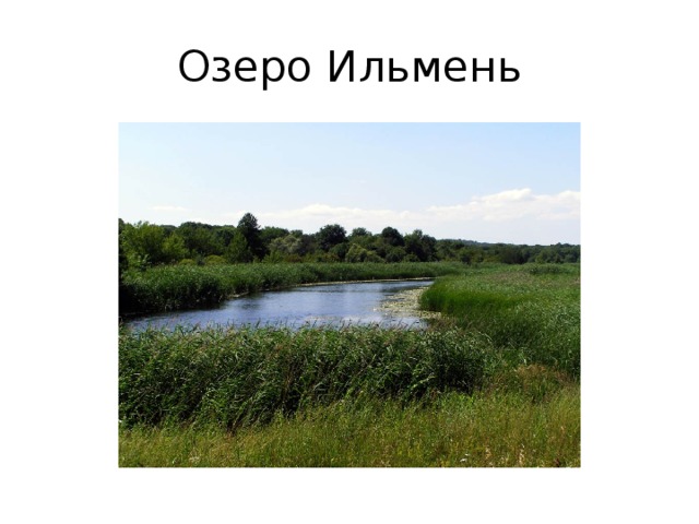 Озеро Ильмень Озеро Ильмень Мазурский –самое большое в Воронежской области. Здесь обитает много видов животных, произрастают редкие растения.  