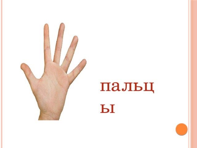  пальцы 