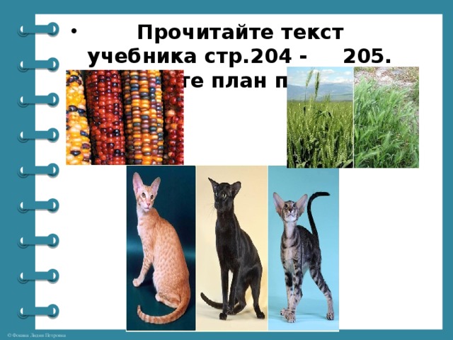 Прочитайте текст учебника стр.204 - 205. Составьте план параграфа.