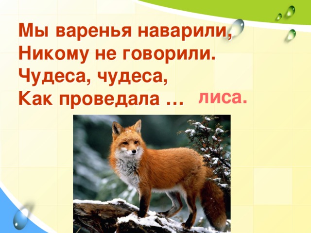 Мы варенья наварили,  Никому не говорили.  Чудеса, чудеса,  Как проведала … лиса.