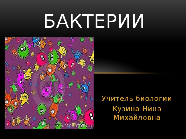 Бактерии Учитель биологии Кузина Нина Михайловна 