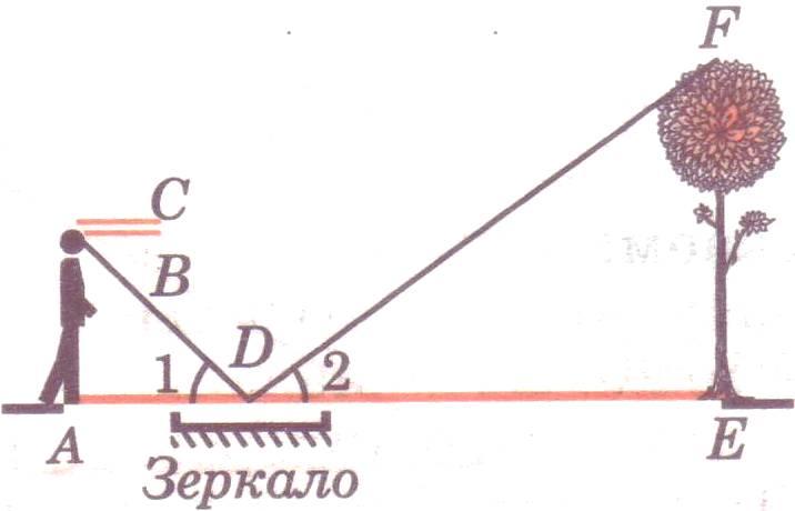 Для определения высоты башни можно использовать зеркало как показано на рисунке луч света dc