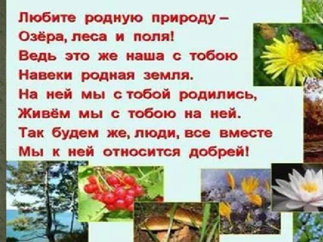 План рассказа земля родная